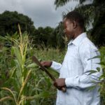 Agro Inputs Revolution: Sustainable Farming Practices in 2025