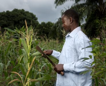 Agro Inputs Revolution: Sustainable Farming Practices in 2025