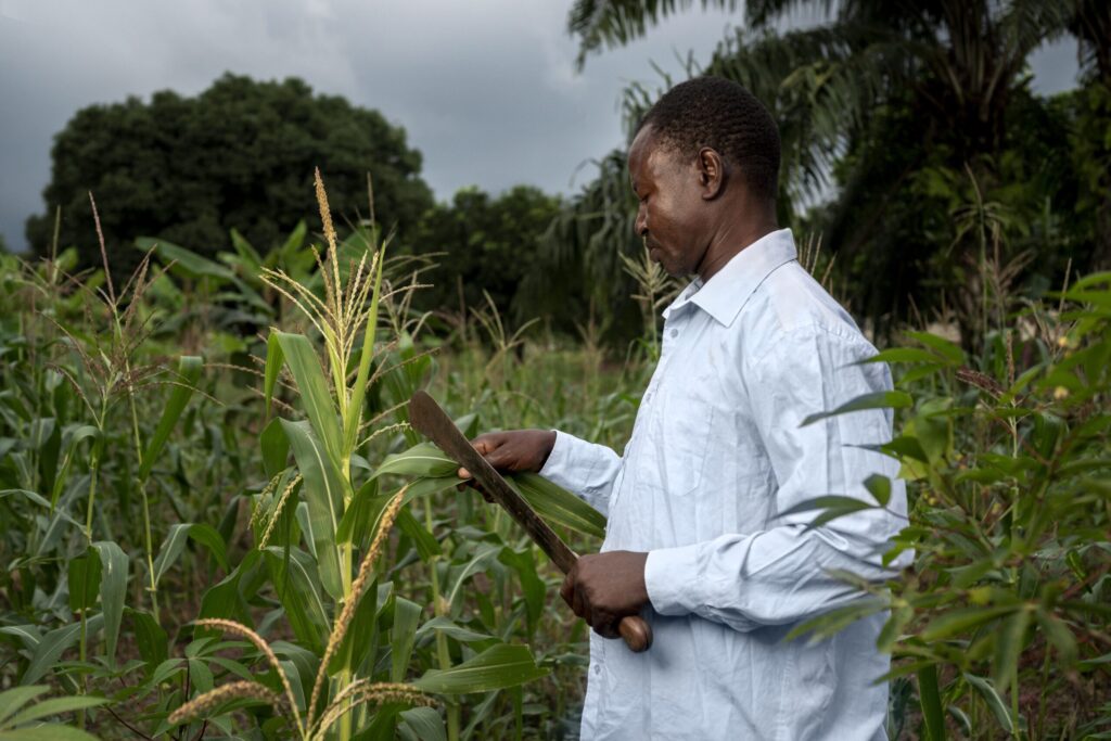 Sustainable Farming Practices: Transforming the Agro Input Industry in 2025