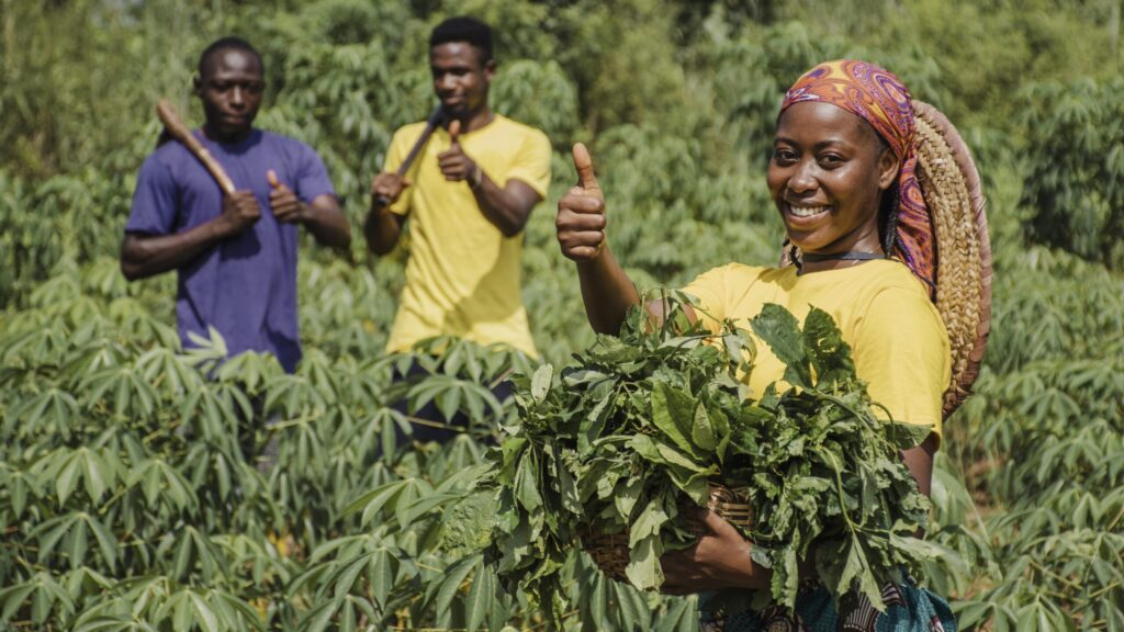 Global Agro Business Strategies: Transform Your Approach 