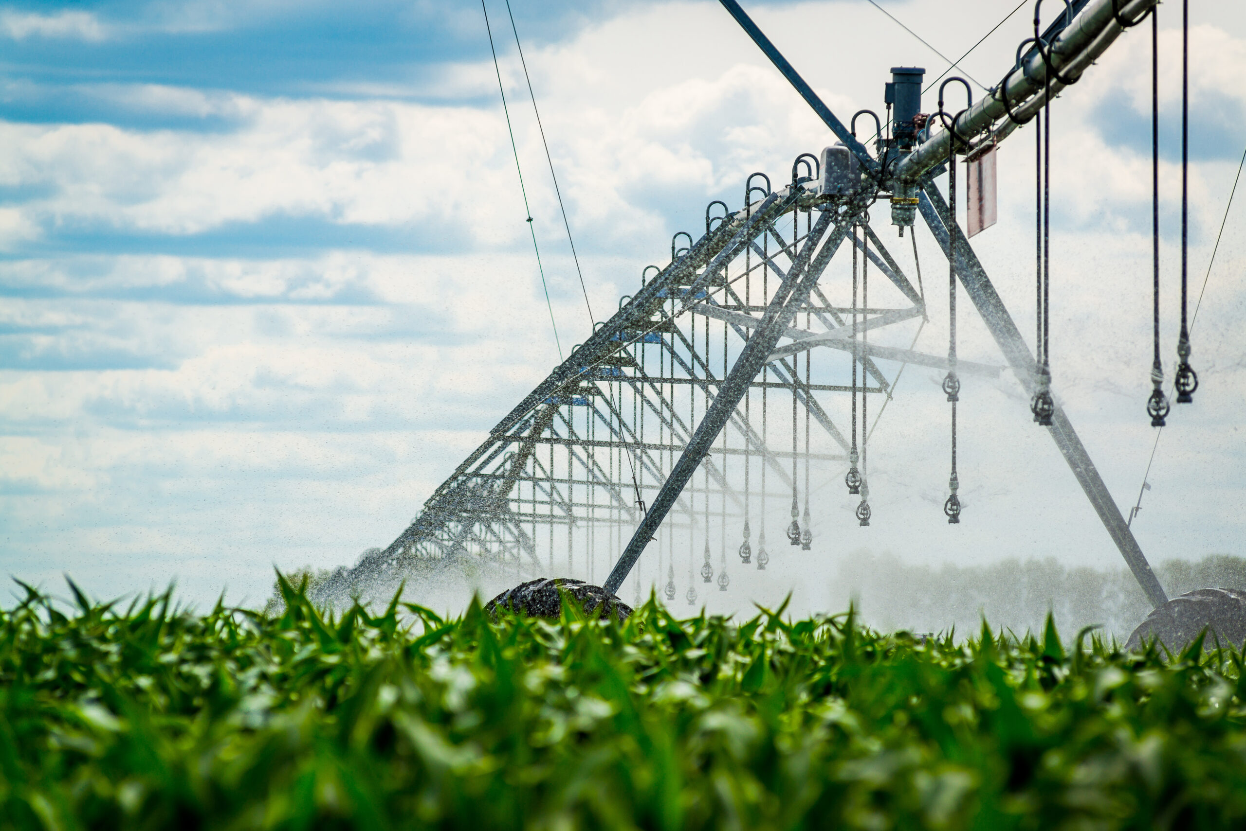 Agro Industries & Sustainable Future: Securing 2025 and Beyond