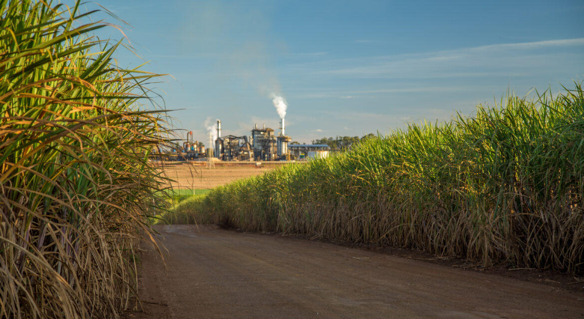 Agri Inputs in India: IAG’s 2025 Sugar Mill Partnership
