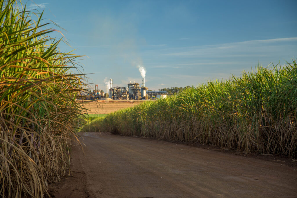 Agri Inputs in India: Transforming Farming with IAG’s Partnership in Maharashtra’s Sugar Industry