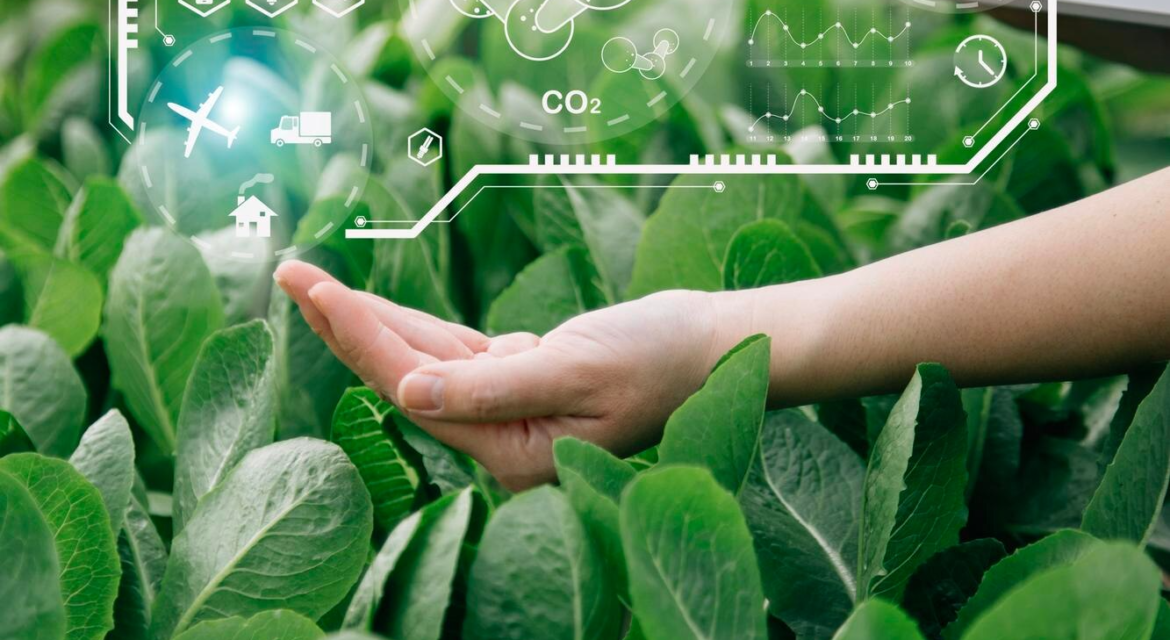 Carbon-Neutral Farming and Agri Inputs for a Green Tomorrow