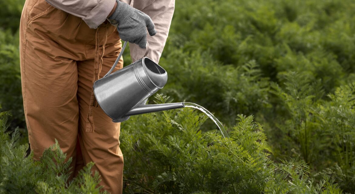 Water-efficient fertilizers increasing crop yield and sustainability with reduced irrigation needs.
