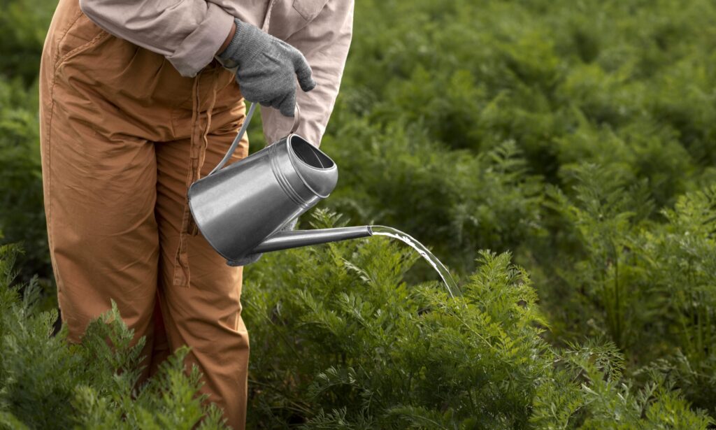 Water-Efficient Fertilizers – How to Maximize Crop Yield with Less Water