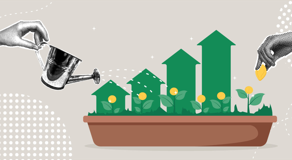Rising Fertilizer Costs - ROI