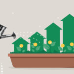 Rising Fertilizer Costs - ROI