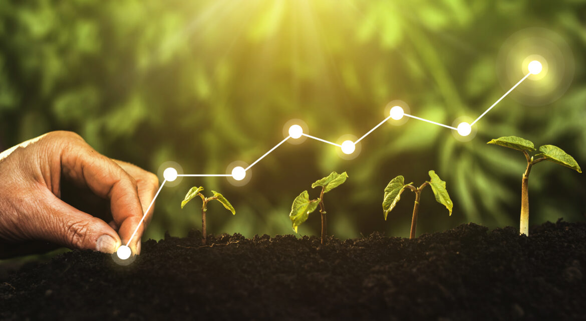 Agriculture India's Growth & Input Shift