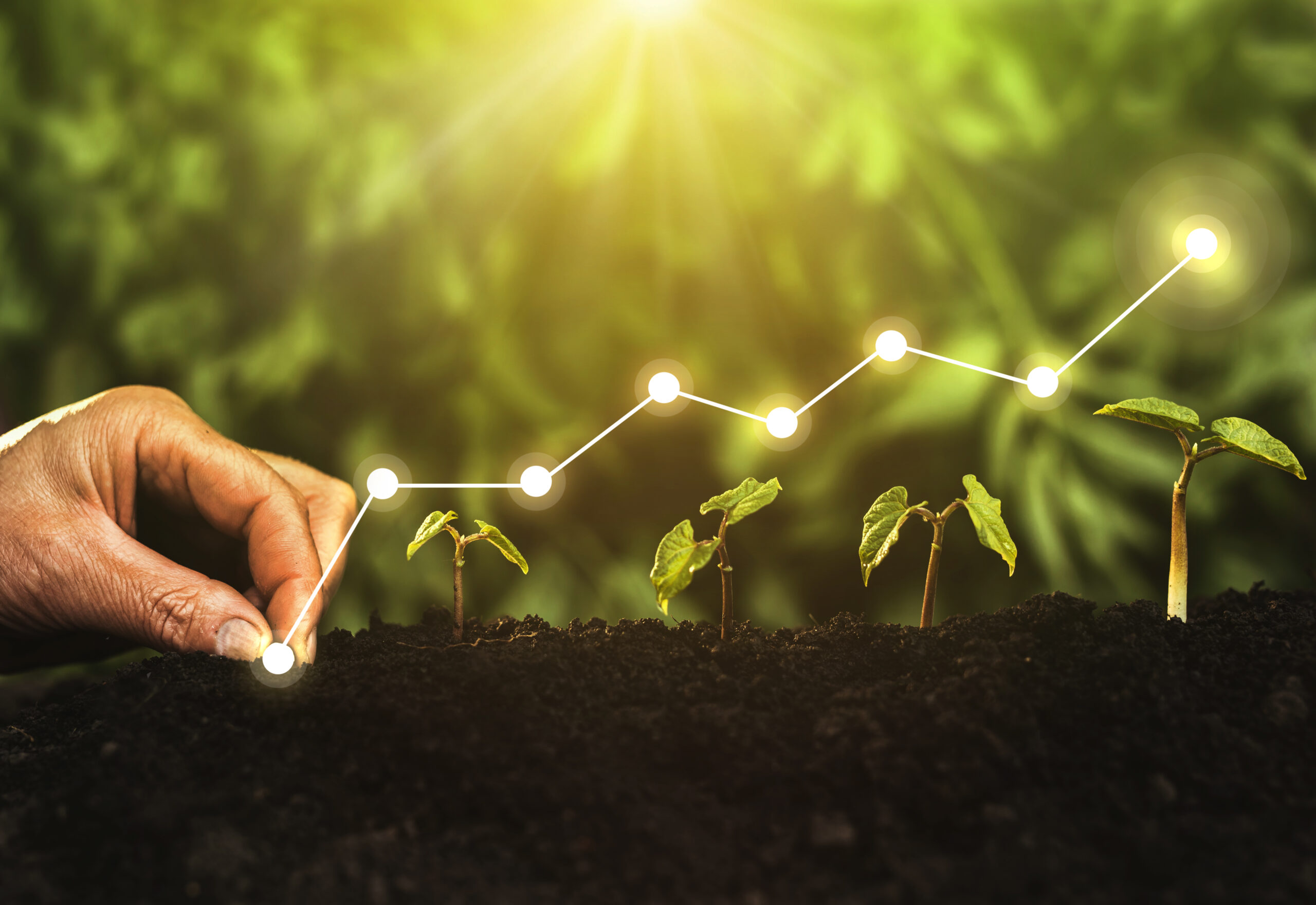 Agriculture Trends 2025: India’s Growth & Input Shift