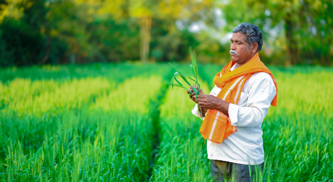 indian farmer in farm