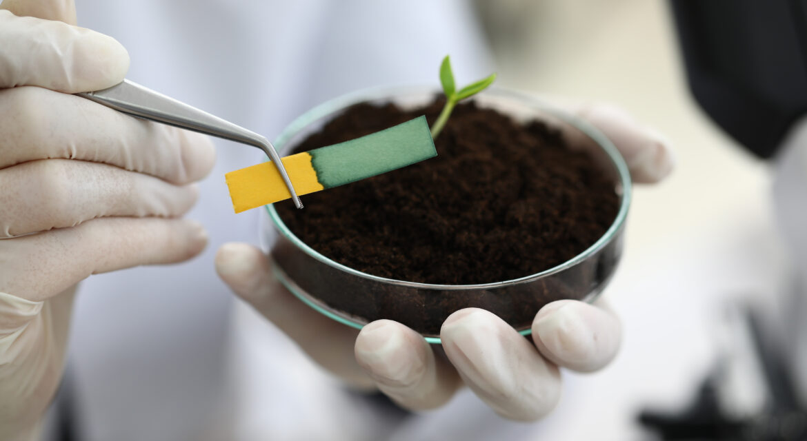 Soil Testing Importance for Crop Nutrition & Soil Health