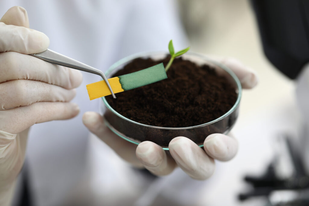 Soil Testing Importance for Crop Nutrition & Soil Health