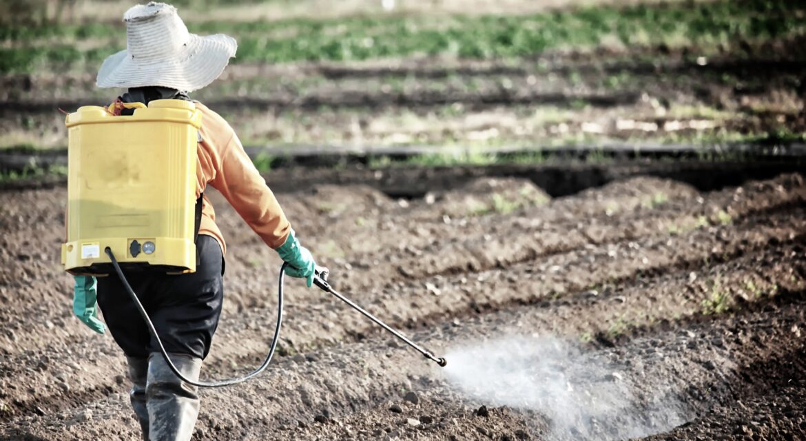 Safe Pesticide Usage Tips to Protect Soil Without Harm