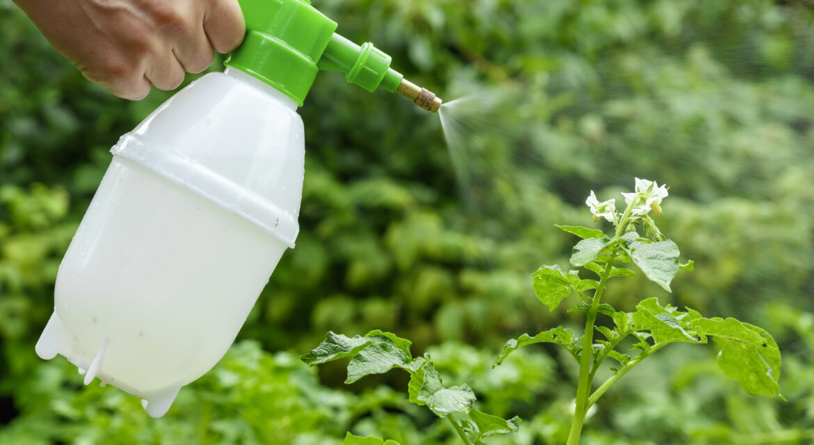 fungicides vs bactericides