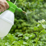 fungicides vs bactericides