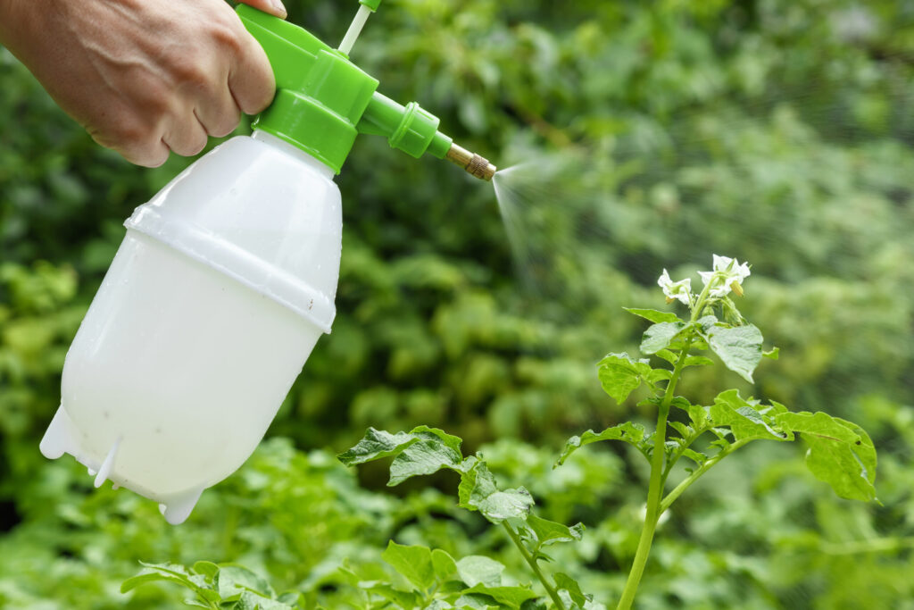 Fungicides vs Bactericides: What are the Main Differences and How to Choose Between Them