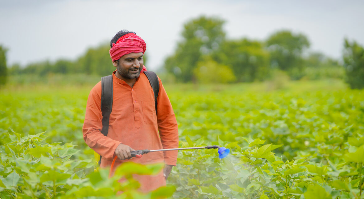 Natural Pest Control Methods: Organic Ways to Protect Crops