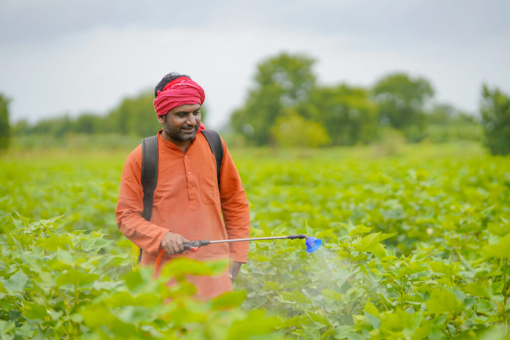 Natural Pest Control Methods: Organic Ways to Protect Crops