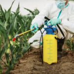 Integrated Pest Management: The Future of Farming