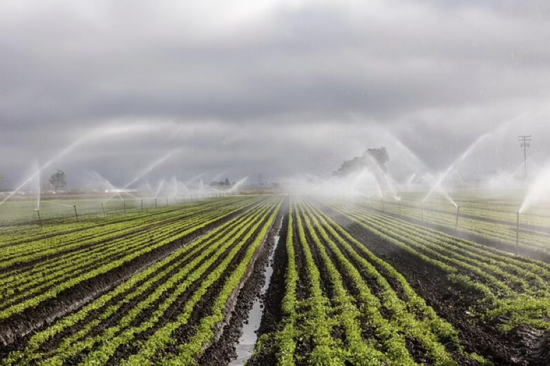 How Precision Irrigation in Farming Reduces Water Stress