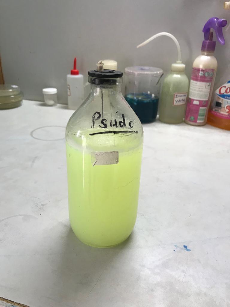 A greenish liquid can be seen inside a transparent bottle