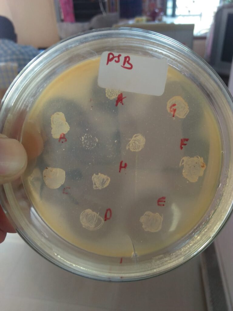 A liquid can be seen inside a transparent bowl