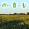 A laviush green farm field can be seen along with a few icons above which include a sun a tractor a man ploughing the field a water drop and green plant