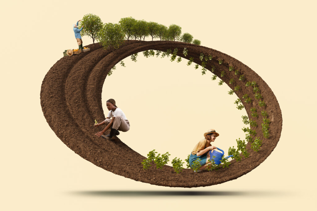 Circular Farming Systems Turning Agricultural Waste into Valuable Inputs