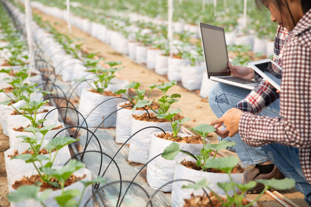 A young woman controlling the laptop and a tab with several saplings assembled in a line in front of her