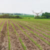 A field of green crops can be seen with a white drone hovering over it